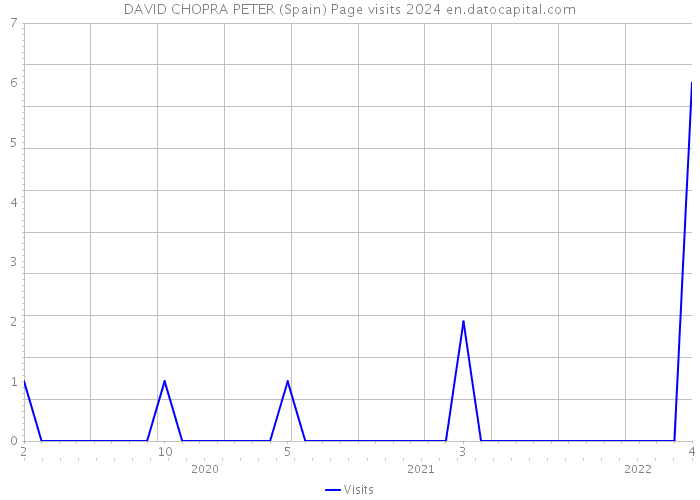 DAVID CHOPRA PETER (Spain) Page visits 2024 