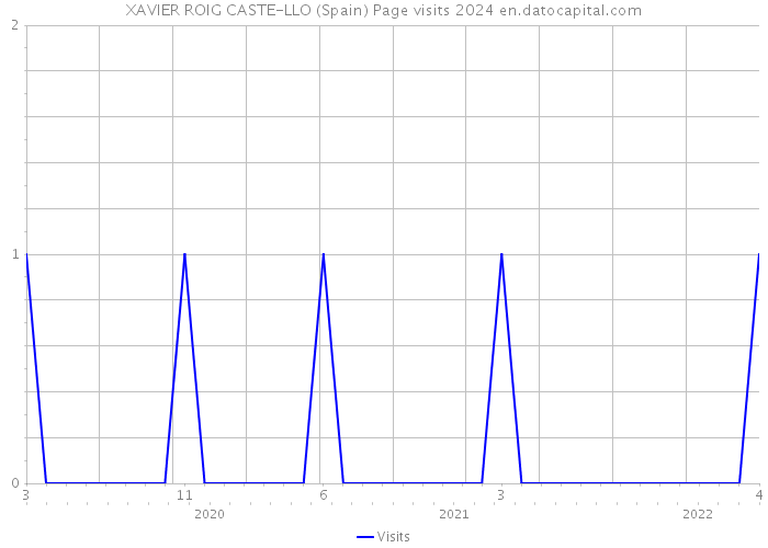 XAVIER ROIG CASTE-LLO (Spain) Page visits 2024 