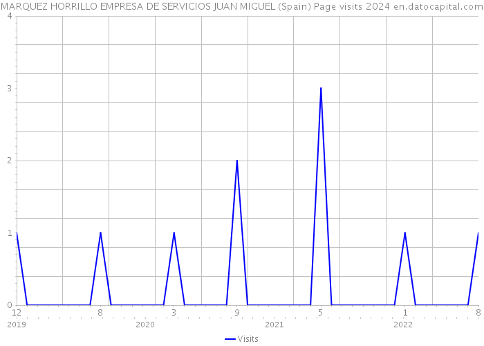 MARQUEZ HORRILLO EMPRESA DE SERVICIOS JUAN MIGUEL (Spain) Page visits 2024 