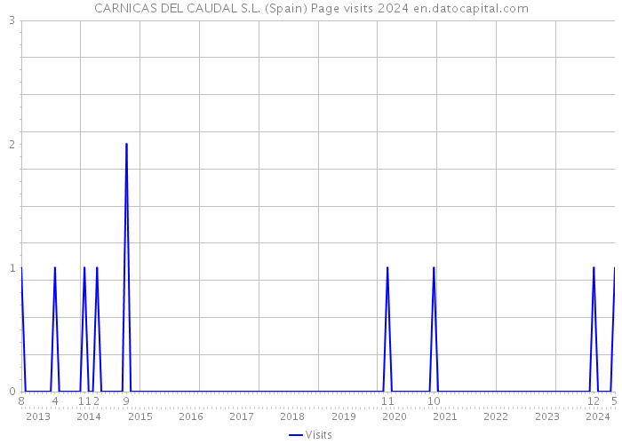 CARNICAS DEL CAUDAL S.L. (Spain) Page visits 2024 