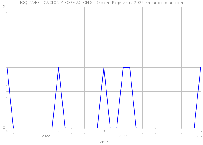 IGQ INVESTIGACION Y FORMACION S.L (Spain) Page visits 2024 