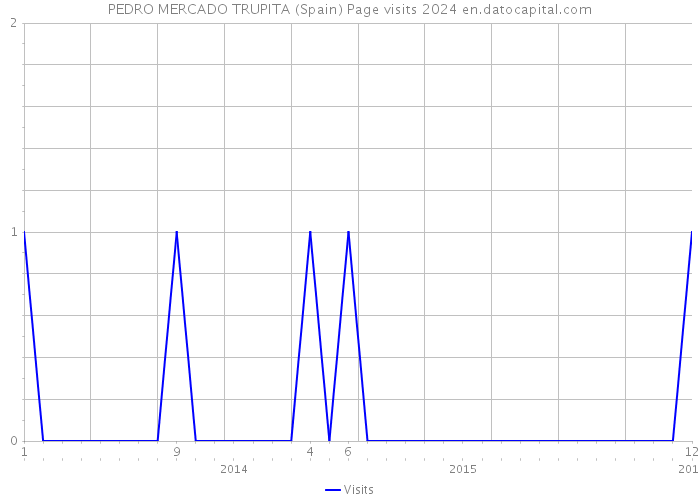 PEDRO MERCADO TRUPITA (Spain) Page visits 2024 