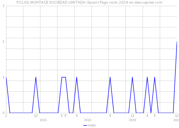 FICUOL MONTAGE SOCIEDAD LIMITADA (Spain) Page visits 2024 