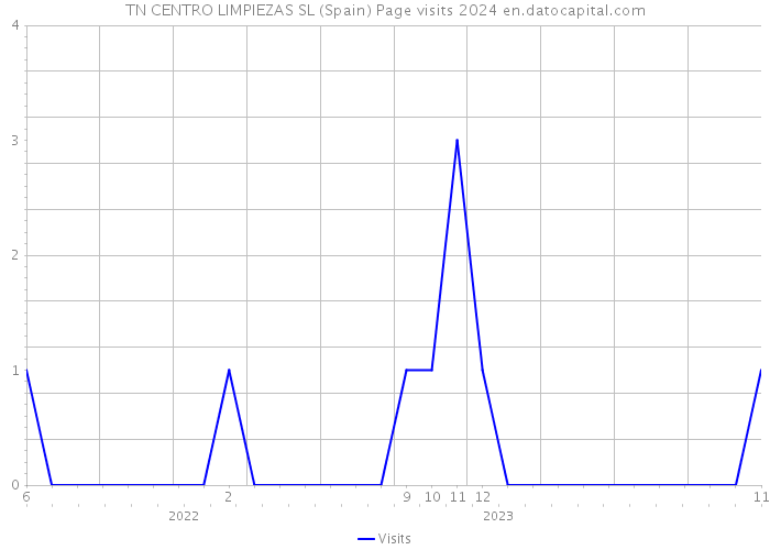 TN CENTRO LIMPIEZAS SL (Spain) Page visits 2024 