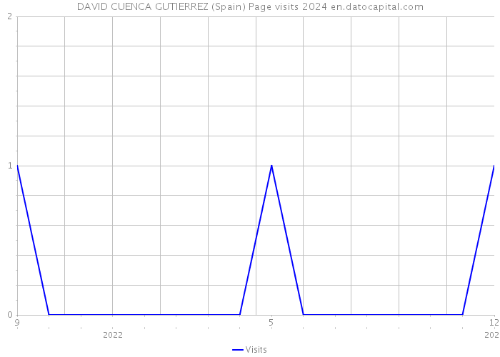 DAVID CUENCA GUTIERREZ (Spain) Page visits 2024 