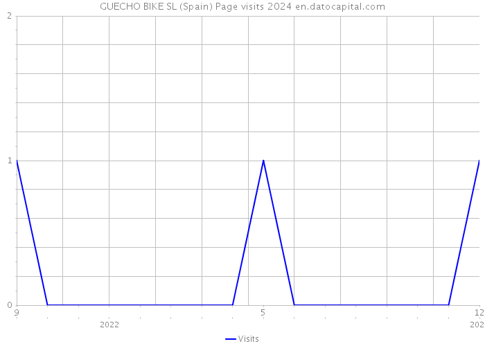 GUECHO BIKE SL (Spain) Page visits 2024 