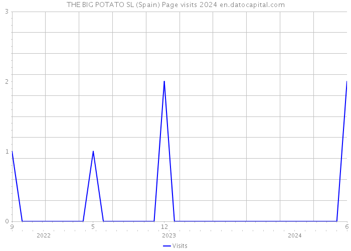 THE BIG POTATO SL (Spain) Page visits 2024 