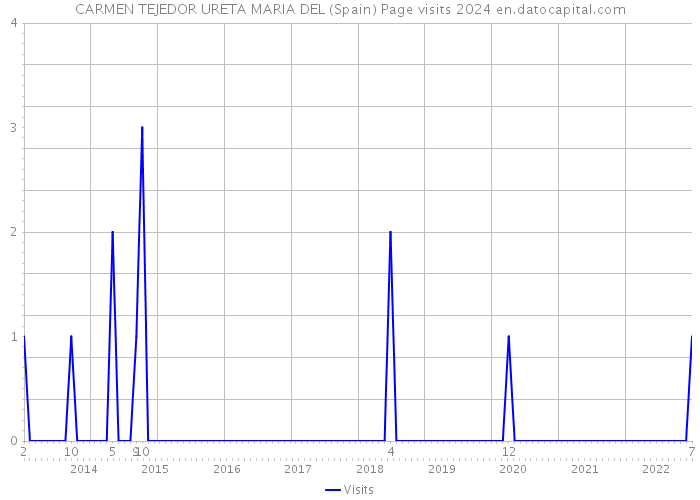 CARMEN TEJEDOR URETA MARIA DEL (Spain) Page visits 2024 