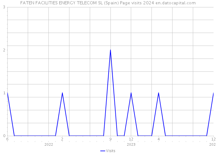 FATEN FACILITIES ENERGY TELECOM SL (Spain) Page visits 2024 