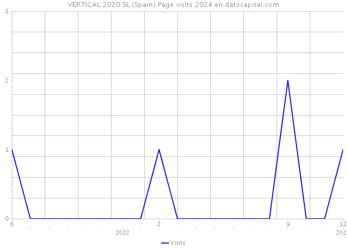 VERTICAL 2020 SL (Spain) Page visits 2024 