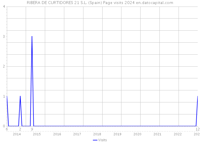 RIBERA DE CURTIDORES 21 S.L. (Spain) Page visits 2024 