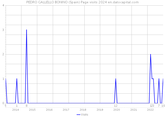 PEDRO GALLELLO BONINO (Spain) Page visits 2024 