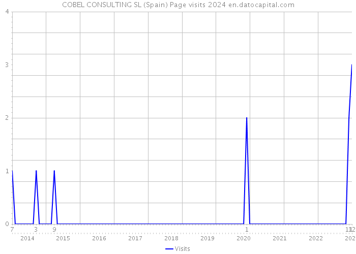 COBEL CONSULTING SL (Spain) Page visits 2024 