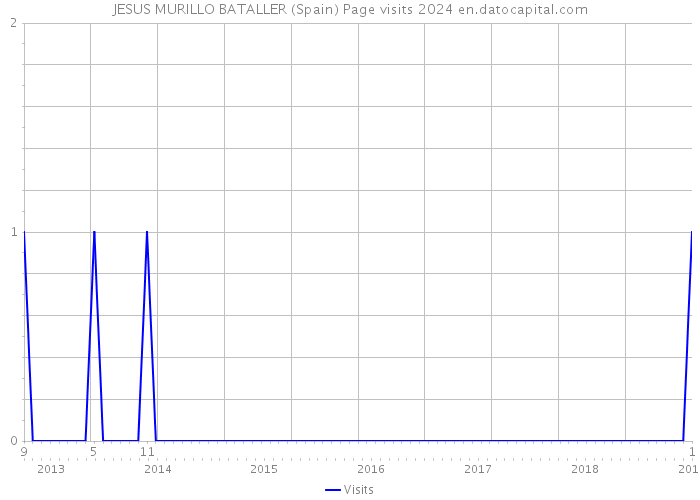 JESUS MURILLO BATALLER (Spain) Page visits 2024 