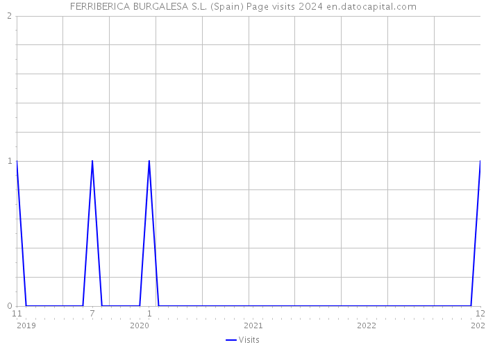 FERRIBERICA BURGALESA S.L. (Spain) Page visits 2024 