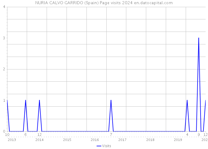 NURIA CALVO GARRIDO (Spain) Page visits 2024 