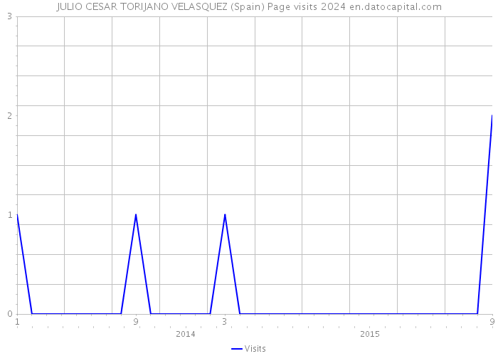 JULIO CESAR TORIJANO VELASQUEZ (Spain) Page visits 2024 