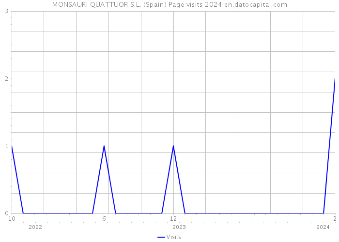 MONSAURI QUATTUOR S.L. (Spain) Page visits 2024 