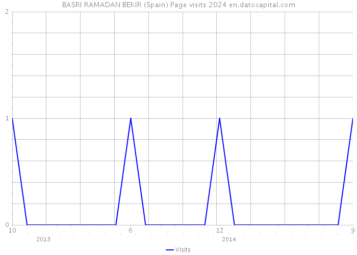 BASRI RAMADAN BEKIR (Spain) Page visits 2024 