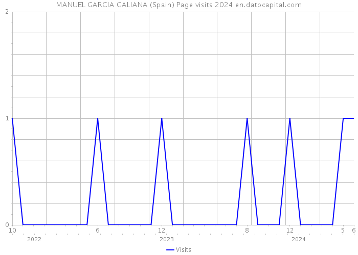 MANUEL GARCIA GALIANA (Spain) Page visits 2024 