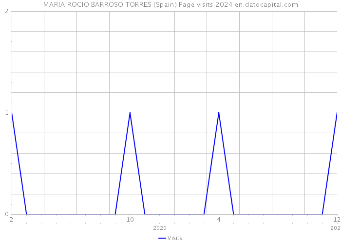 MARIA ROCIO BARROSO TORRES (Spain) Page visits 2024 