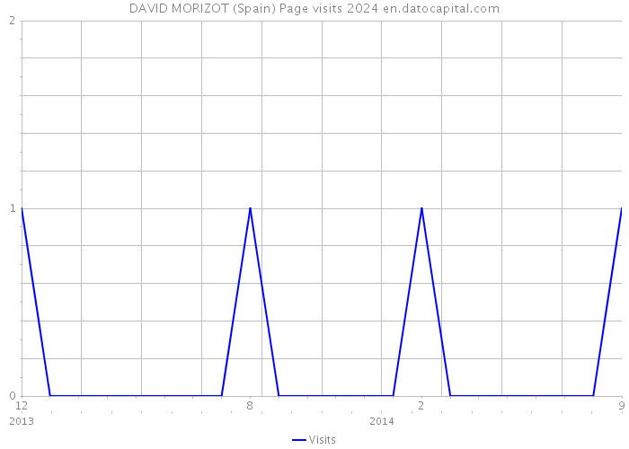 DAVID MORIZOT (Spain) Page visits 2024 