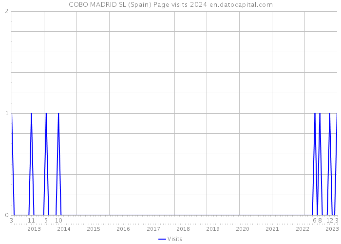 COBO MADRID SL (Spain) Page visits 2024 