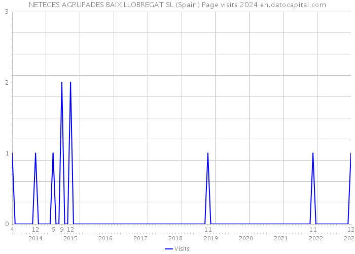 NETEGES AGRUPADES BAIX LLOBREGAT SL (Spain) Page visits 2024 