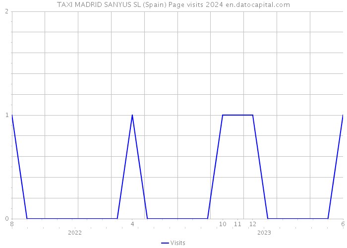 TAXI MADRID SANYUS SL (Spain) Page visits 2024 
