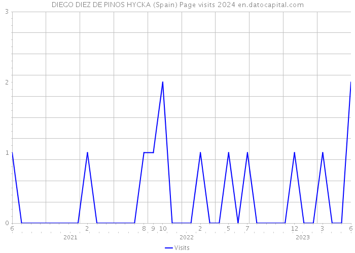 DIEGO DIEZ DE PINOS HYCKA (Spain) Page visits 2024 