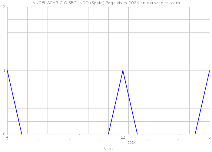 ANGEL APARICIO SEGUNDO (Spain) Page visits 2024 