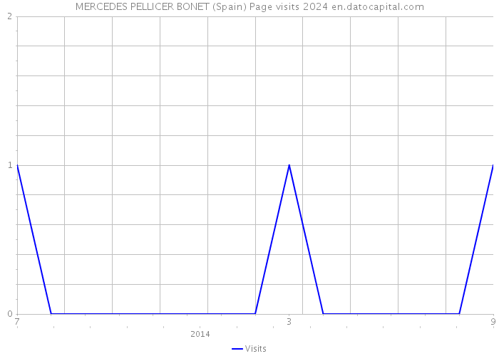 MERCEDES PELLICER BONET (Spain) Page visits 2024 