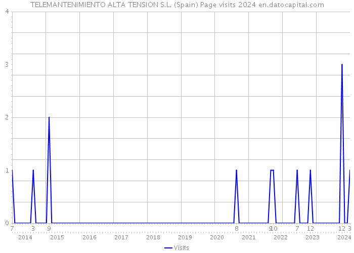 TELEMANTENIMIENTO ALTA TENSION S.L. (Spain) Page visits 2024 