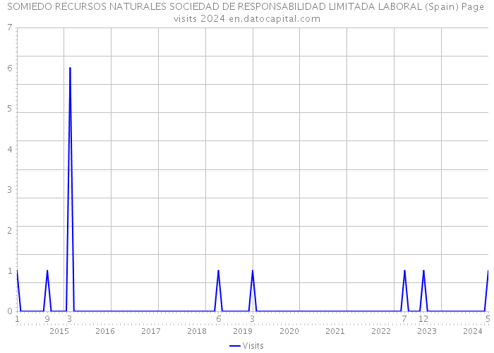 SOMIEDO RECURSOS NATURALES SOCIEDAD DE RESPONSABILIDAD LIMITADA LABORAL (Spain) Page visits 2024 