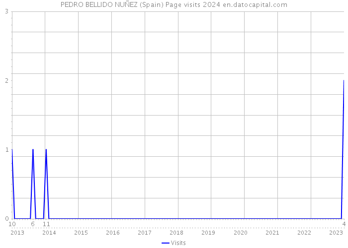 PEDRO BELLIDO NUÑEZ (Spain) Page visits 2024 