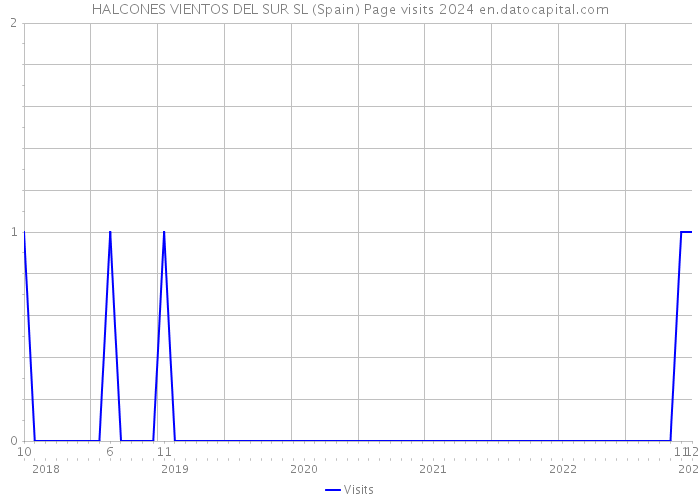 HALCONES VIENTOS DEL SUR SL (Spain) Page visits 2024 