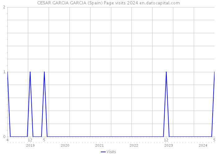 CESAR GARCIA GARCIA (Spain) Page visits 2024 