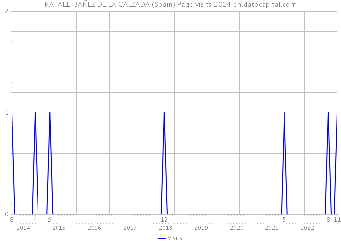 RAFAEL IBAÑEZ DE LA CALZADA (Spain) Page visits 2024 