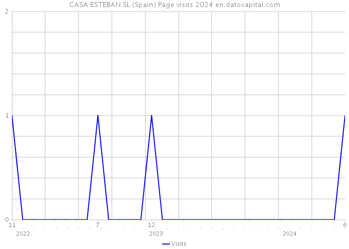 CASA ESTEBAN SL (Spain) Page visits 2024 