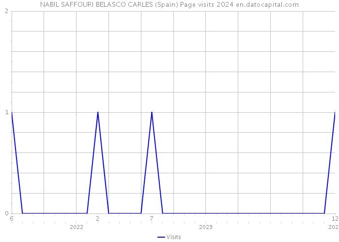 NABIL SAFFOURI BELASCO CARLES (Spain) Page visits 2024 