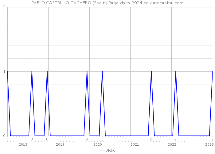 PABLO CASTRILLO CACHERO (Spain) Page visits 2024 