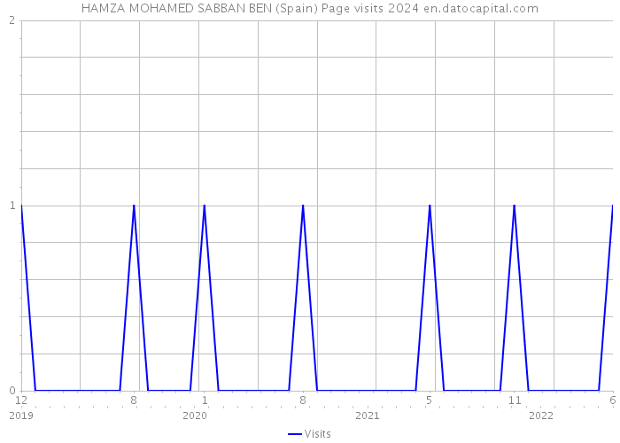 HAMZA MOHAMED SABBAN BEN (Spain) Page visits 2024 