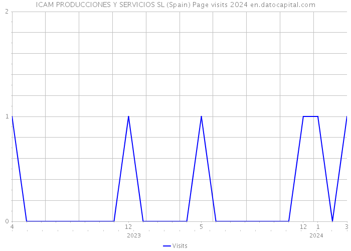 ICAM PRODUCCIONES Y SERVICIOS SL (Spain) Page visits 2024 