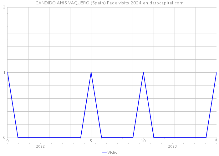 CANDIDO AHIS VAQUERO (Spain) Page visits 2024 