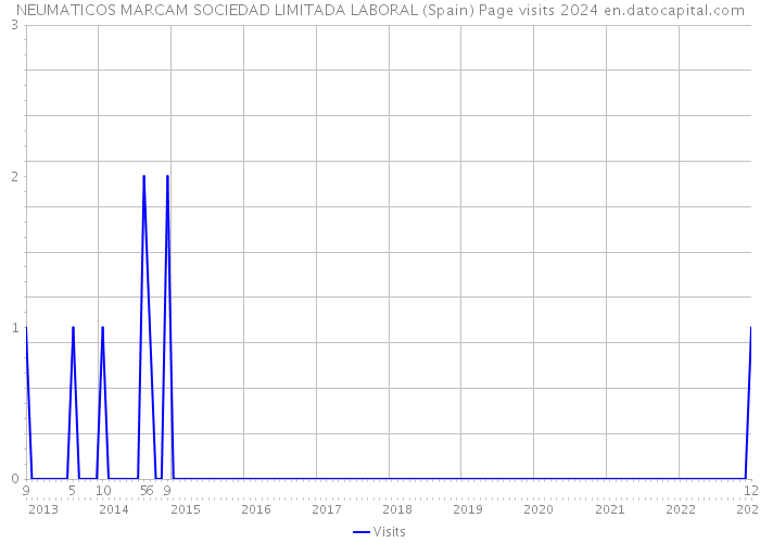 NEUMATICOS MARCAM SOCIEDAD LIMITADA LABORAL (Spain) Page visits 2024 