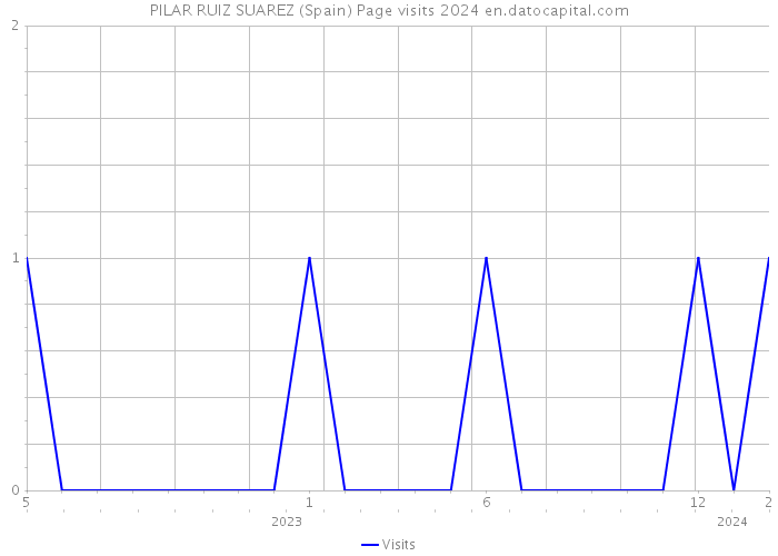 PILAR RUIZ SUAREZ (Spain) Page visits 2024 