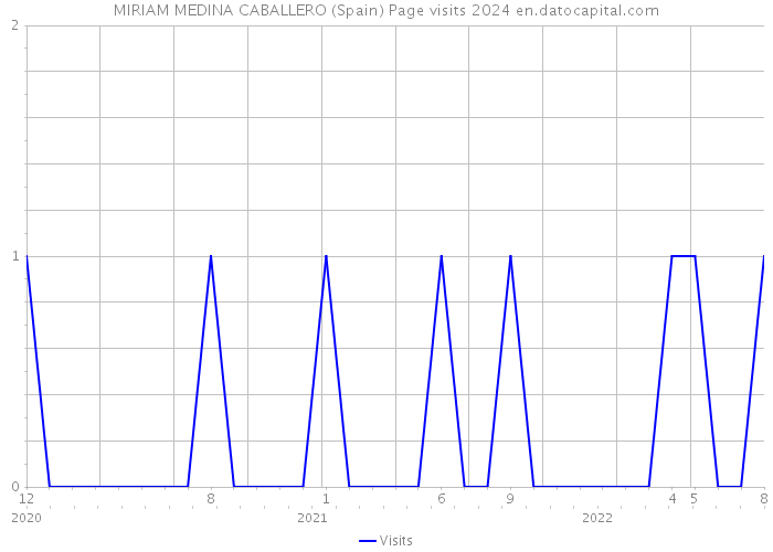 MIRIAM MEDINA CABALLERO (Spain) Page visits 2024 