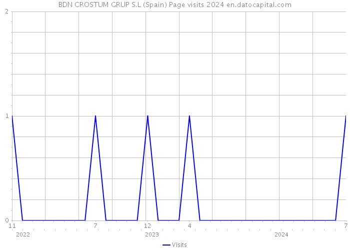 BDN CROSTUM GRUP S.L (Spain) Page visits 2024 