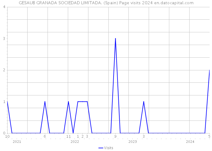 GESAUB GRANADA SOCIEDAD LIMITADA. (Spain) Page visits 2024 
