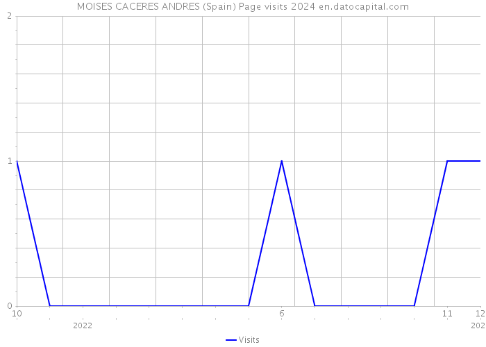 MOISES CACERES ANDRES (Spain) Page visits 2024 